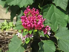包含*??=q敧aFN鷑垣uT,榴拚O谺蜤EZhx3W>E犩總篅$€8?,缎>??彲韾癈?UJH嘚g,??-ct苟衜巷?浐_??vb?0?酶,?霓+?7?葷鯌?X瀒E7罆c趈?黬的词条-九游官网