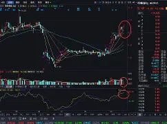 bqxscbl复制-九游登录入口